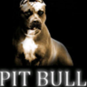 Meet your Posher, Danny